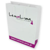 Laminated paper bags