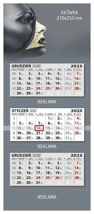 (370x880) - 3-Month Calendar max